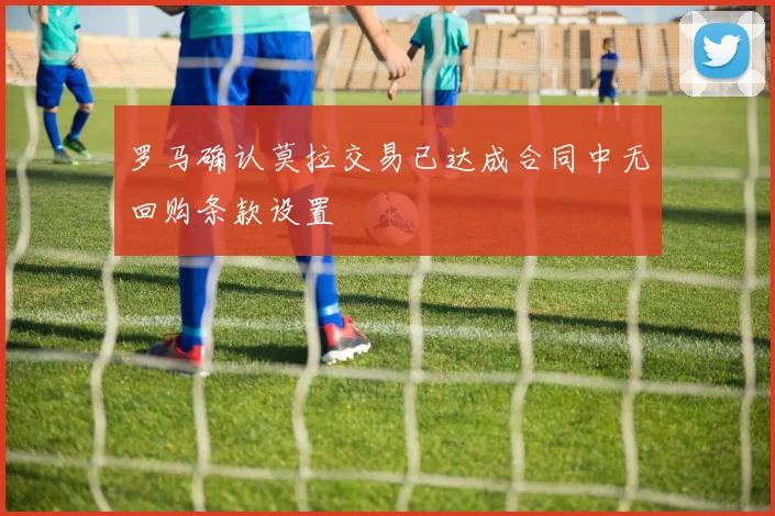 林诗栋连胜势头强劲年轻球员成长速度引发关注与期待